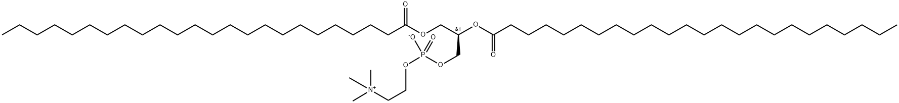 1,2-DILIGNOCEROYL-SN-GLYCERO-3-PHOSPHOCHOLINE