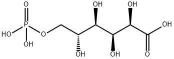 6-PHOSPHOGLUCONIC ACID BARIUM SALT