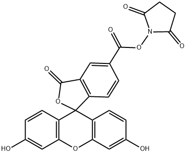 5-Carboxyfluorescein N-succinimidyl ester