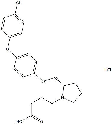DG 051 (HCl salt)