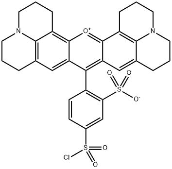 Sulforhodamine 101 acid chloride