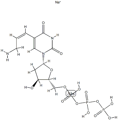 Aminoallyl-dUTP sodium salt
		
	