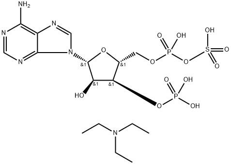 3′-Phosphoadenosine-5′-phosphosulfate triethylammonium salt