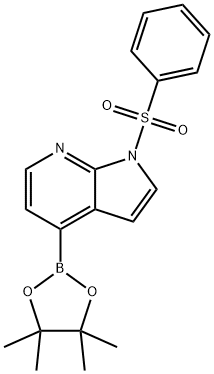 1H-Pyrrolo[2,3-b]pyridine, 1-(phenylsulfonyl)-4-(4,4,5,5-tetramethyl-1,3,2-dioxaborolan-2-yl)-