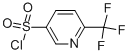 6-Trifluoromethyl-3-pyridinesulfonyl Chloride