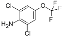 2,6-DICHLORO-4-(TRIFLUOROMETHOXY)ANILINE