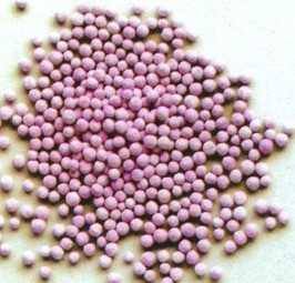 Sulfur tolerant shift catalyst